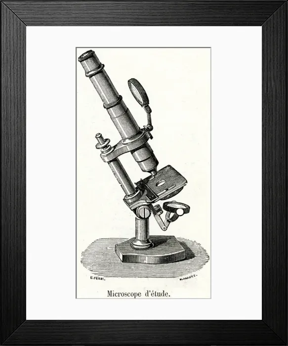 Framed Print : MICROSCOPE LATE C19 Framed Print : MICROSCOPE LATE C19