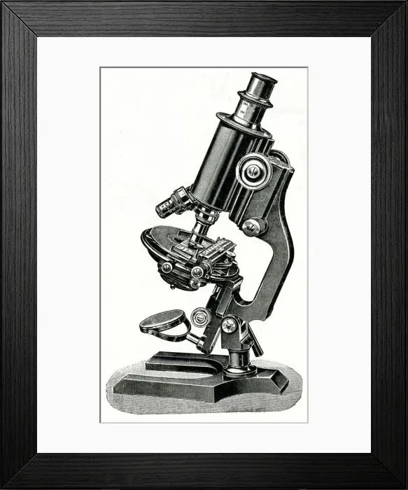 Framed Print : WINKELS MICROSCOPE Framed Print : WINKELS MICROSCOPE