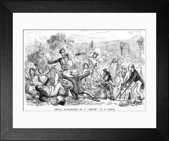 Framed Print : WASP AT A PICNIC Framed Print : WASP AT A PICNIC