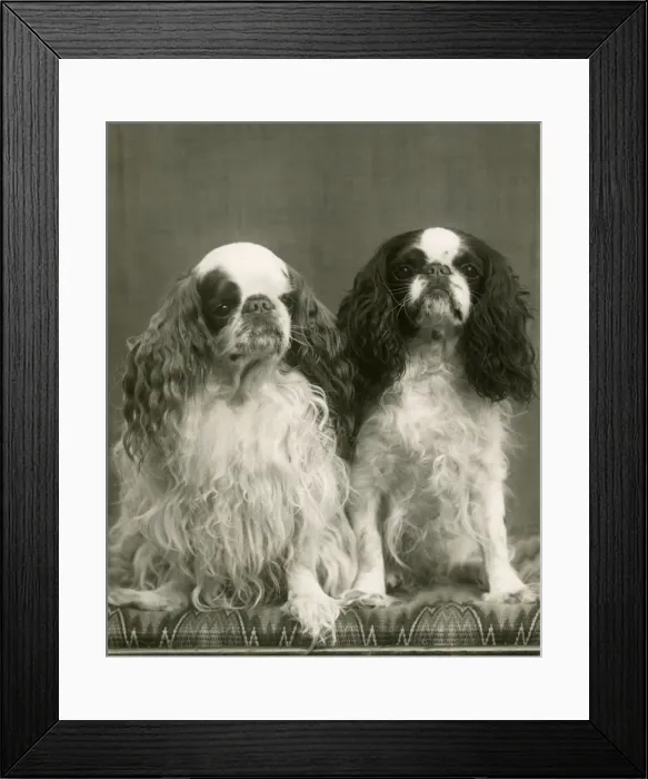 Framed Print : FALL / K. C. SPANIEL / 1941 Framed Print : FALL / K. C. SPANIEL / 1941