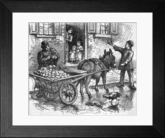 Framed Print : SELLING CAULIFLOWERS Framed Print : SELLING CAULIFLOWERS