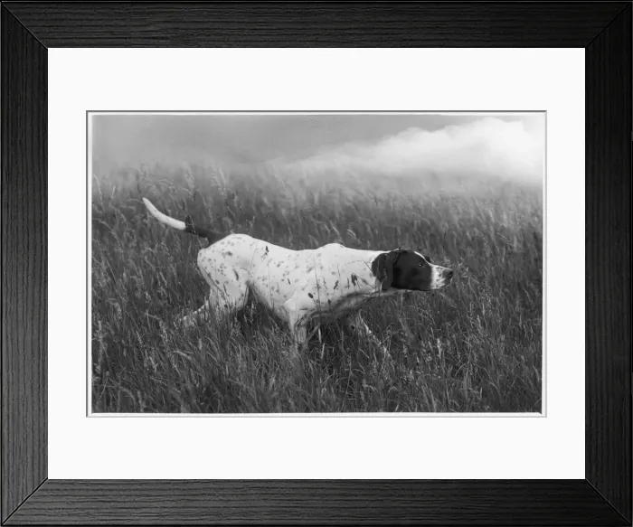 Framed Print : Fall - Pointer - 1938 Framed Print : Fall - Pointer - 1938