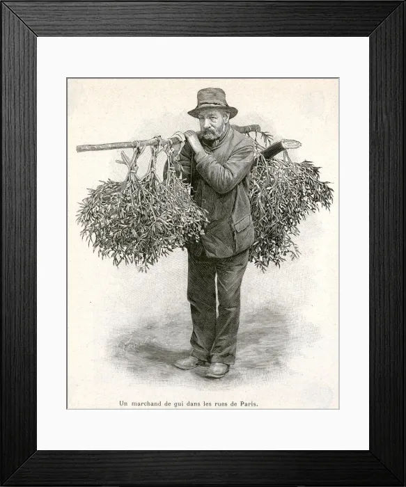 Framed Print : Selling mistletoe in streets 1894 Framed Print : Selling mistletoe in streets 1894