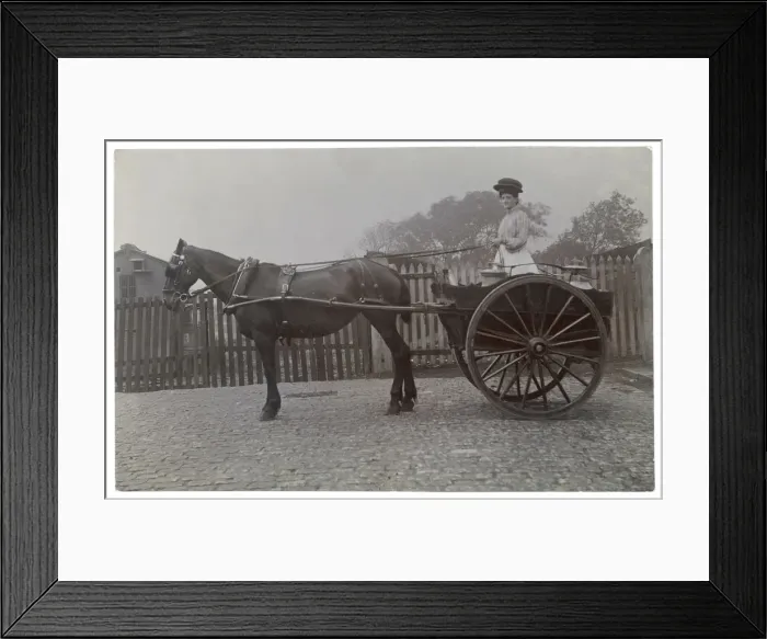 Framed Print : Dairy Woman in Her Cart Framed Print : Dairy Woman in Her Cart