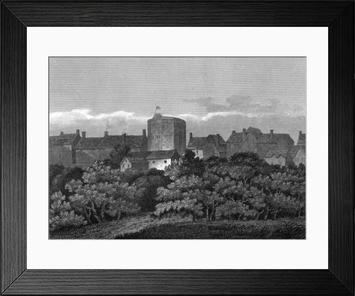 Framed Print : THEATRE / SWAN / 1614 Framed Print : THEATRE / SWAN / 1614