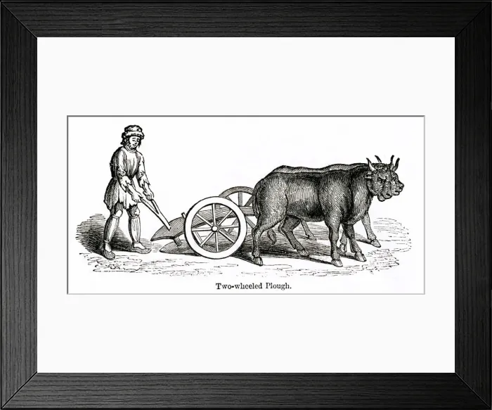 Framed Print : Medieval two-wheeled plough Framed Print : Medieval two-wheeled plough