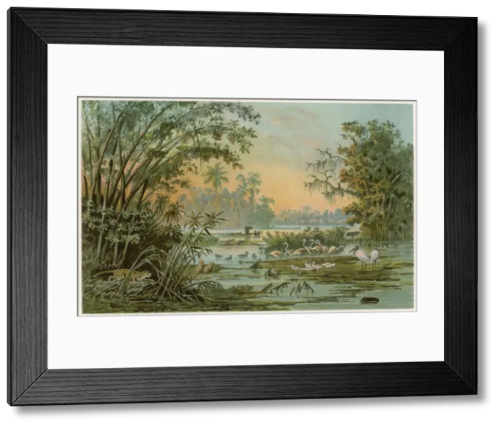 Framed Print : VENEZUELA / ORINOCO 1894 Framed Print : VENEZUELA / ORINOCO 1894