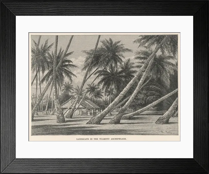 Framed Print : PACIFIC / TUAMOTU C1880 Framed Print : PACIFIC / TUAMOTU C1880