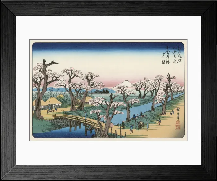 Framed Print : JAPAN / FUJIYAMA / BLOSSOM Framed Print : JAPAN / FUJIYAMA / BLOSSOM