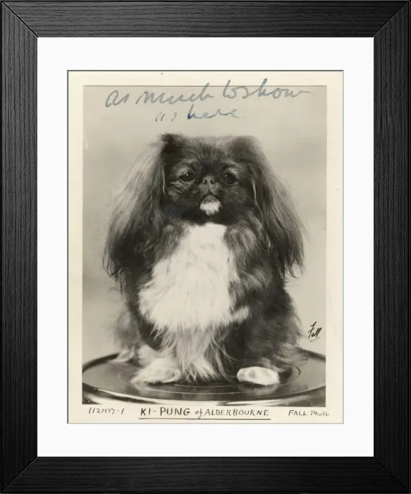 Framed Print : FALL / PEKINGESE / 1919 Framed Print : FALL / PEKINGESE / 1919