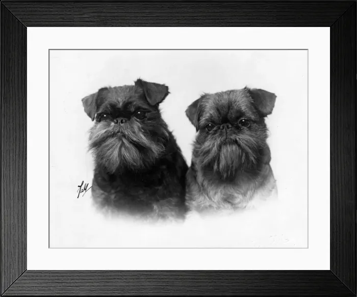 Framed Print : FALL / GRIFFON / 2 HEADS Framed Print : FALL / GRIFFON / 2 HEADS