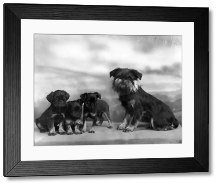 Framed Print : FALL / GRIFFON / WYNWORTH Framed Print : FALL / GRIFFON / WYNWORTH