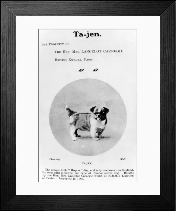 Framed Print : FALL / HA-PA DOG / C1909 Framed Print : FALL / HA-PA DOG / C1909