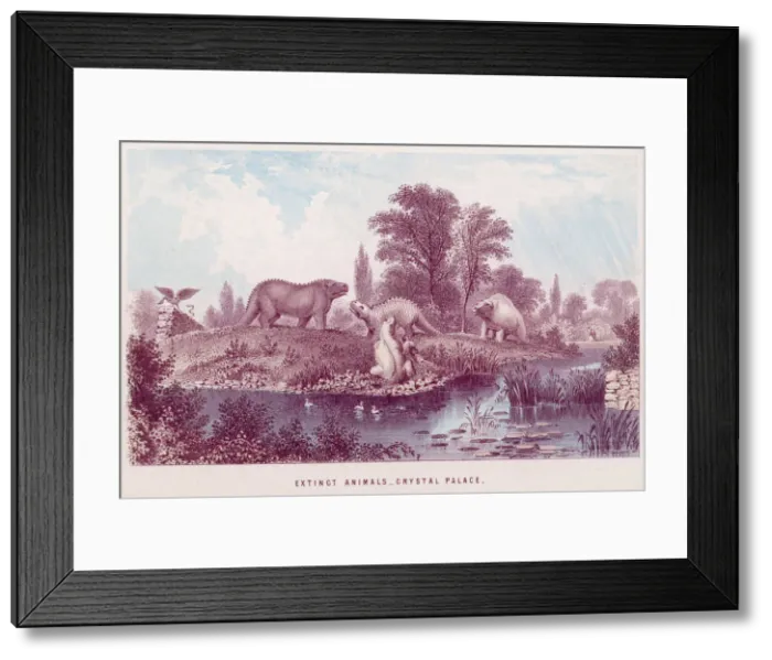 Framed Print : CRYSTAL PALACE ANIMALS Framed Print : CRYSTAL PALACE ANIMALS