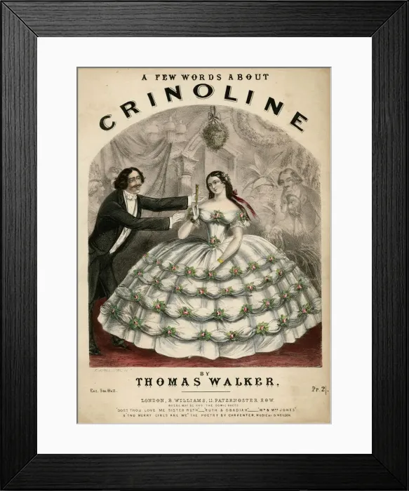 Framed Print : Words About Crinoline Framed Print : Words About Crinoline