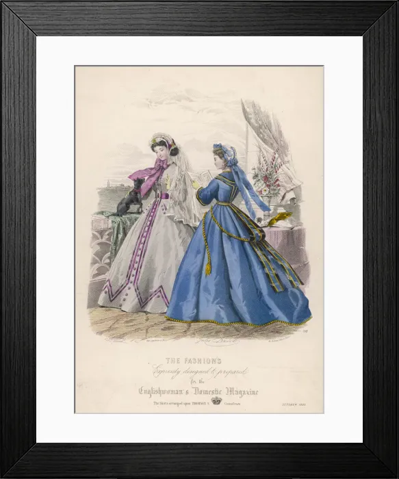 Framed Print : Fashion - Dog 1865 Framed Print : Fashion - Dog 1865
