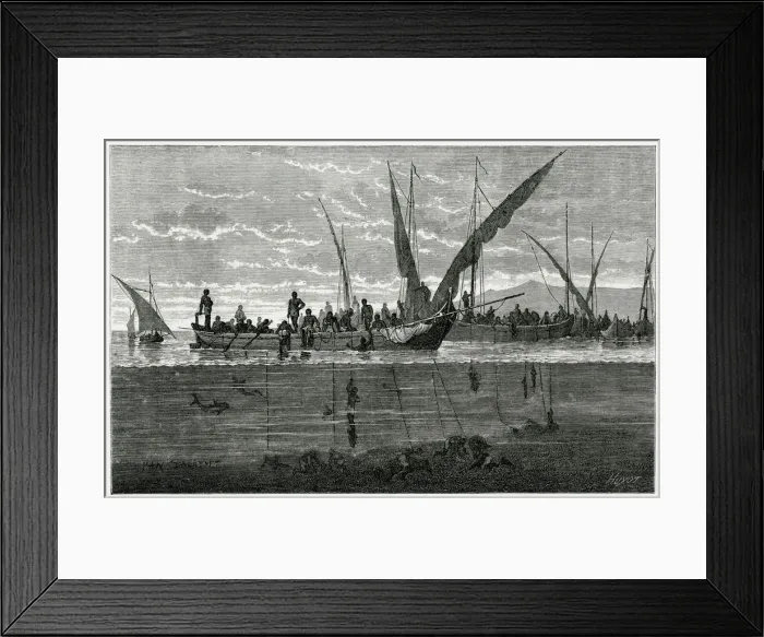 Framed Print : DIVING FOR PEARLS Framed Print : DIVING FOR PEARLS