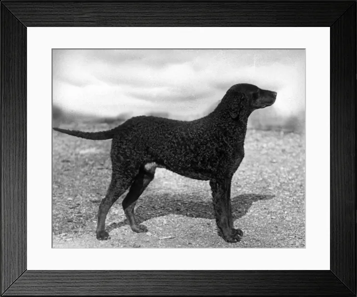 Framed Print : SOCIAL / USA KENTUCKY Framed Print : SOCIAL / USA KENTUCKY