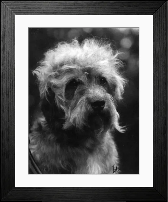Framed Print : FALL / DANDIE DINMONT / 1933 Framed Print : FALL / DANDIE DINMONT / 1933