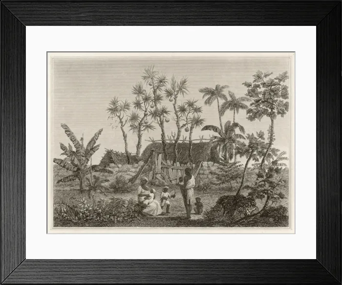Framed Print : SOCIAL / REUNION / BOURBON Framed Print : SOCIAL / REUNION / BOURBON