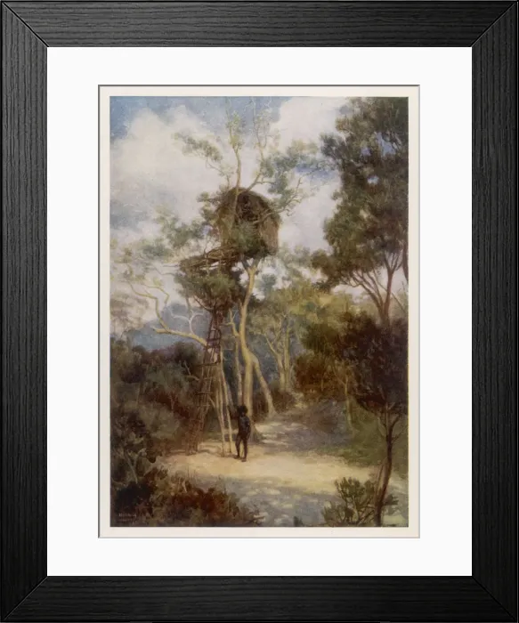 Framed Print : PAPUA / TREE HOUSE 1911 Framed Print : PAPUA / TREE HOUSE 1911