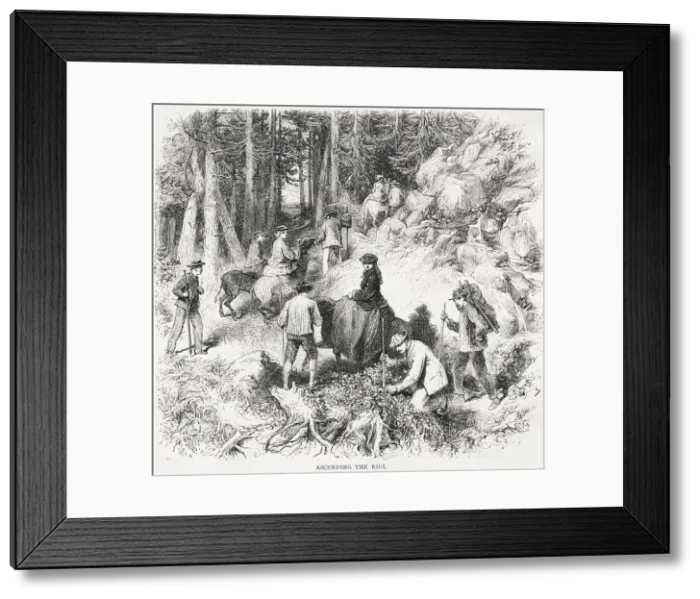 Framed Print : TOURISTS ON THE RIGI Framed Print : TOURISTS ON THE RIGI