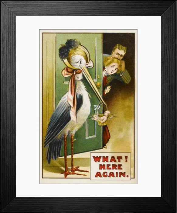 Framed Print : BABY BROUGHT BY STORK Framed Print : BABY BROUGHT BY STORK