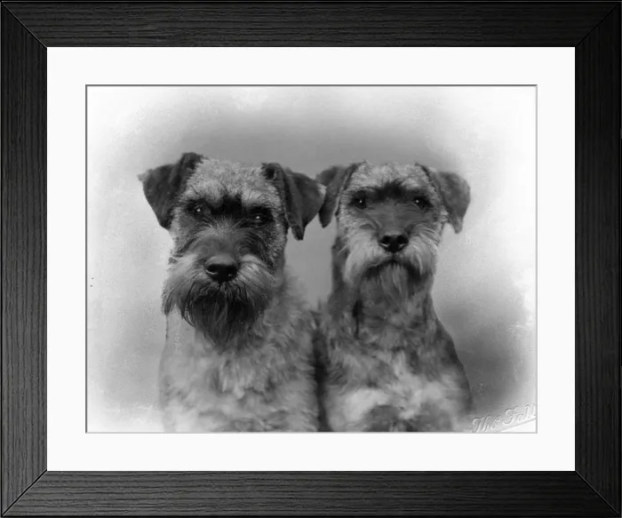 Framed Print : HEADS. MONTFYF GAY GIRL and CHAMPION MONTFYF GRITTER Framed Print : HEADS. MONTFYF GAY GIRL and CHAMPION MONTFYF GRITTER