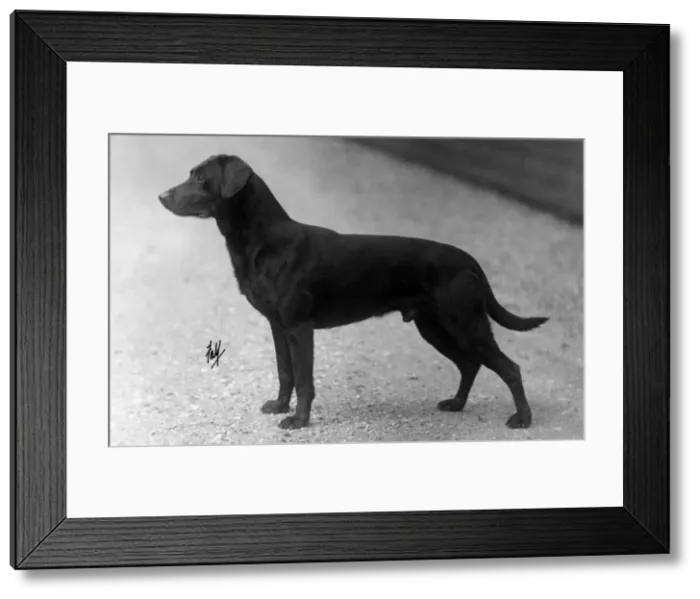 Framed Print : FALL / LABRADOR / 1930 Framed Print : FALL / LABRADOR / 1930
