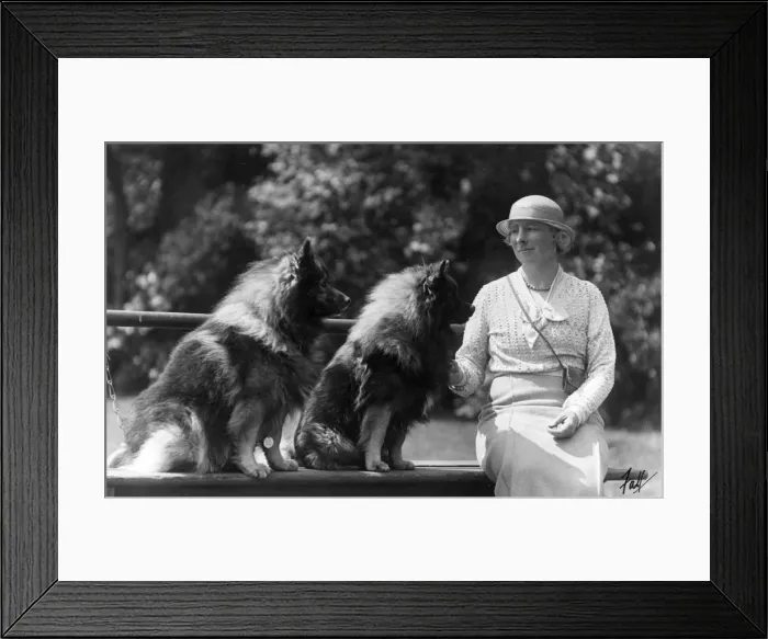 Framed Print : FALL  /  KEESHOUND  /  OWNER