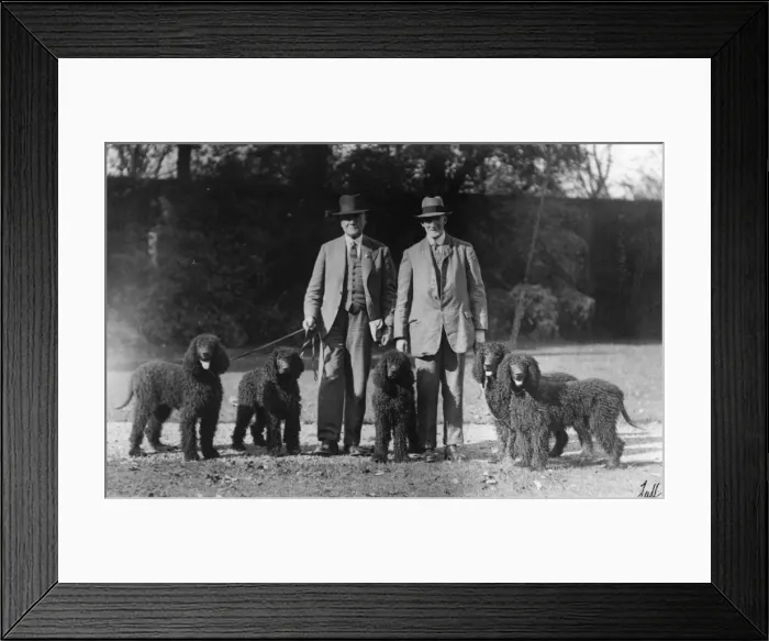 Framed Print : FALL / IRISH WATER / OWNER Framed Print : FALL / IRISH WATER / OWNER