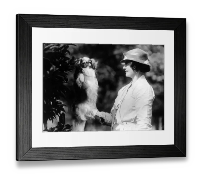 Framed Print : FALL / PEKINGESE / OWNER Framed Print : FALL / PEKINGESE / OWNER