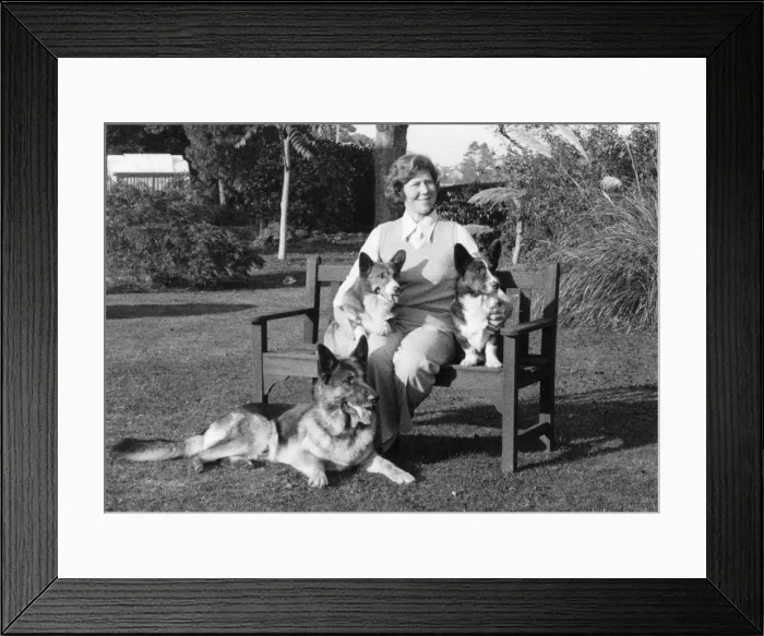 Framed Print : FALL / ALSATIAN & OWNER FALL / ALSATIAN & OWNER Framed Print : FALL / ALSATIAN & OWNER FALL / ALSATIAN & OWNER