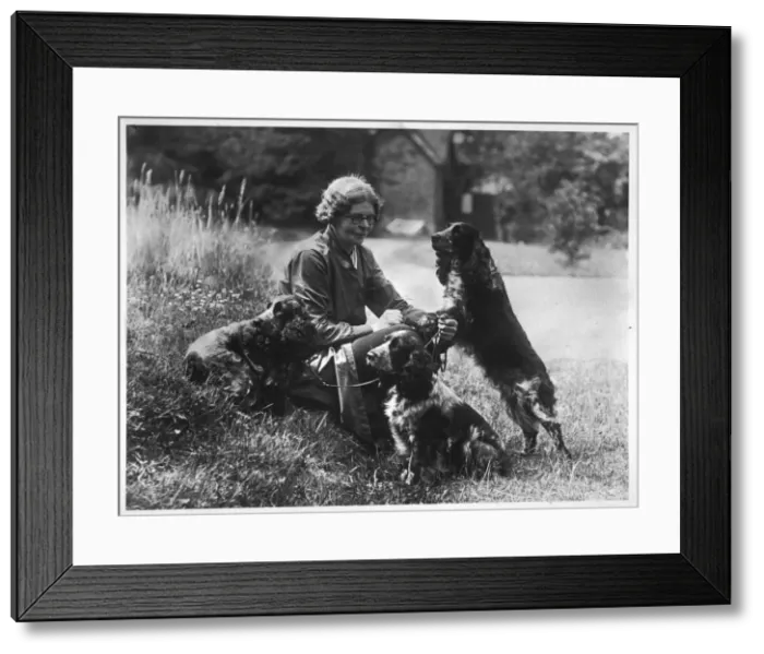 Framed Print : FALL / COCKER SPANIEL / 1936 Framed Print : FALL / COCKER SPANIEL / 1936