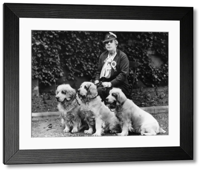 Framed Print : BARONESS BURTONS DOGS Framed Print : BARONESS BURTONS DOGS