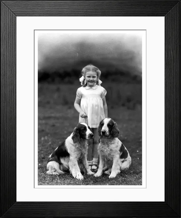 Framed Print : FALL / CHILD & SPANIEL FALL / CHILD & SPANIEL Framed Print : FALL / CHILD & SPANIEL FALL / CHILD & SPANIEL