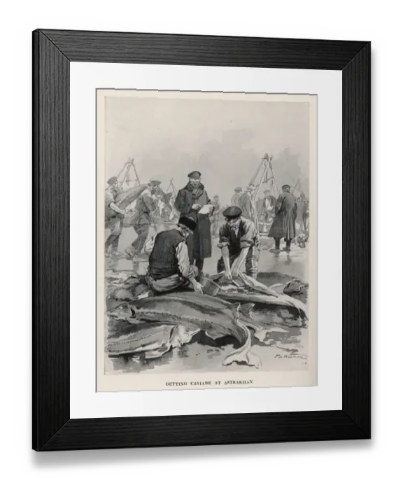 Framed Print : STURGEON CAVIAR EXTRACT Framed Print : STURGEON CAVIAR EXTRACT