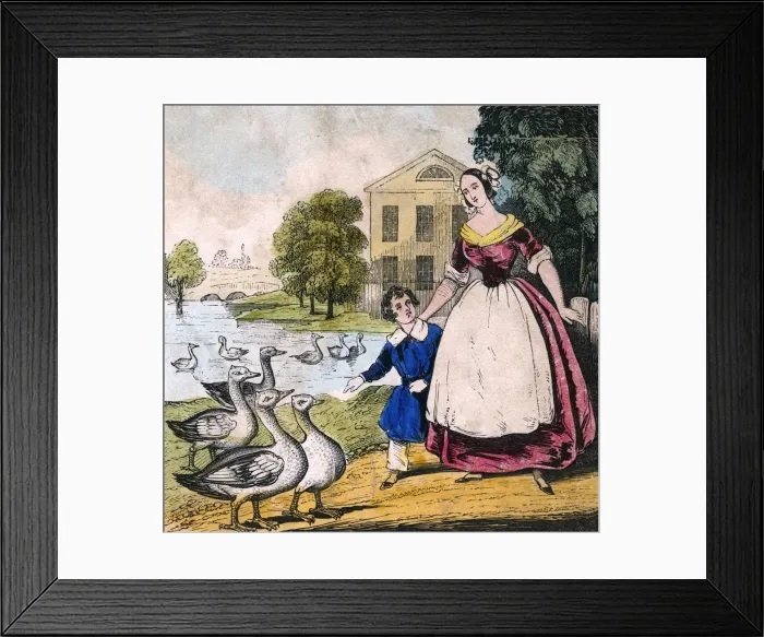 Framed Print : GOOSE SERIES (2 OF 4) Framed Print : GOOSE SERIES (2 OF 4)