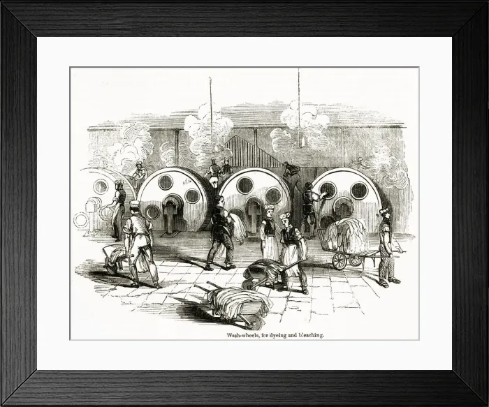 Framed Print : Bleaching cotton