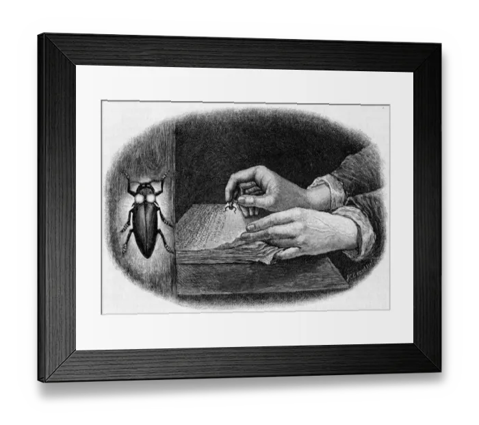 Framed Print : READING BY FIREFLYLIGHT Framed Print : READING BY FIREFLYLIGHT