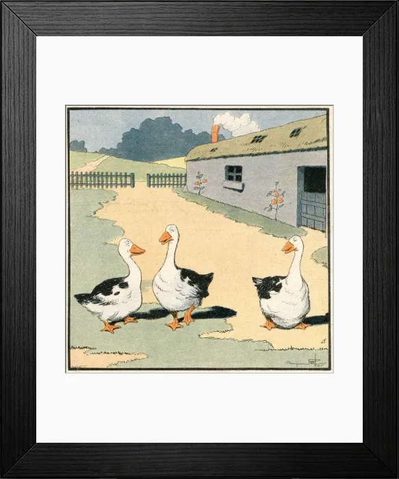 Framed Print : GEESE IN FRANCE Framed Print : GEESE IN FRANCE