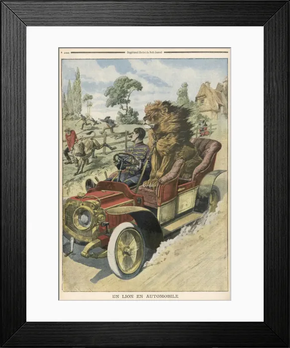 Framed Print : LION IN PASSENGER SEAT Framed Print : LION IN PASSENGER SEAT