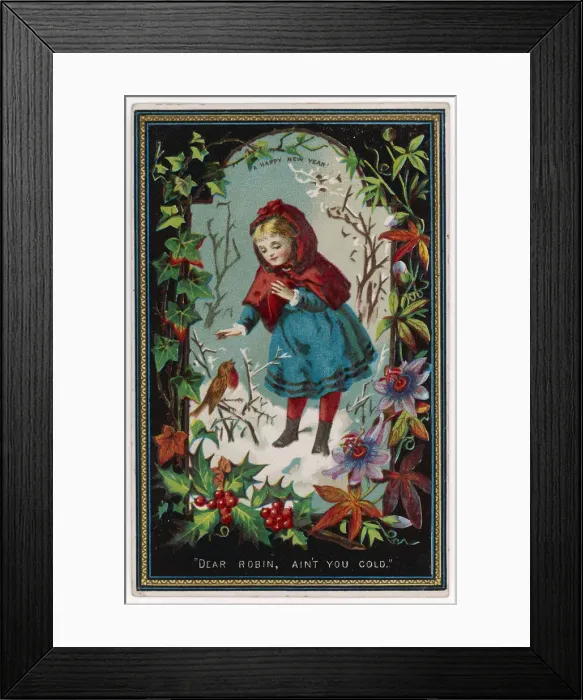 Framed Print : Dear Robin, aint you cold? Framed Print : Dear Robin, aint you cold?