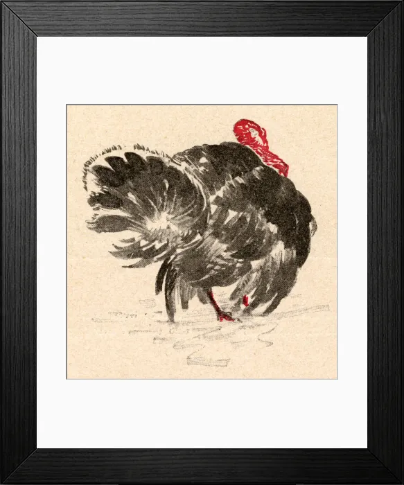 Framed Print : TURKEY (JUGEND) Framed Print : TURKEY (JUGEND)