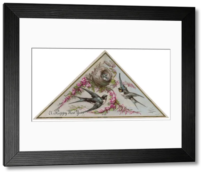 Framed Print : SWALLOWS ON CARD Framed Print : SWALLOWS ON CARD