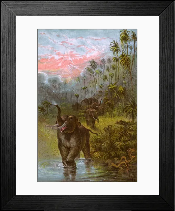 Framed Print : ELEPHANTS / GRISET 1889 Framed Print : ELEPHANTS / GRISET 1889