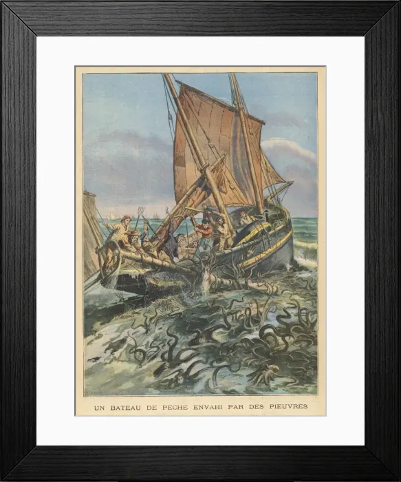 Framed Print : TENTACULAR CATCH  /  FRANCE