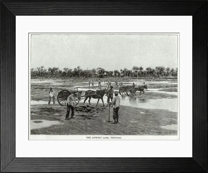 Framed Print : TRINIDAD ASPHALT Framed Print : TRINIDAD ASPHALT