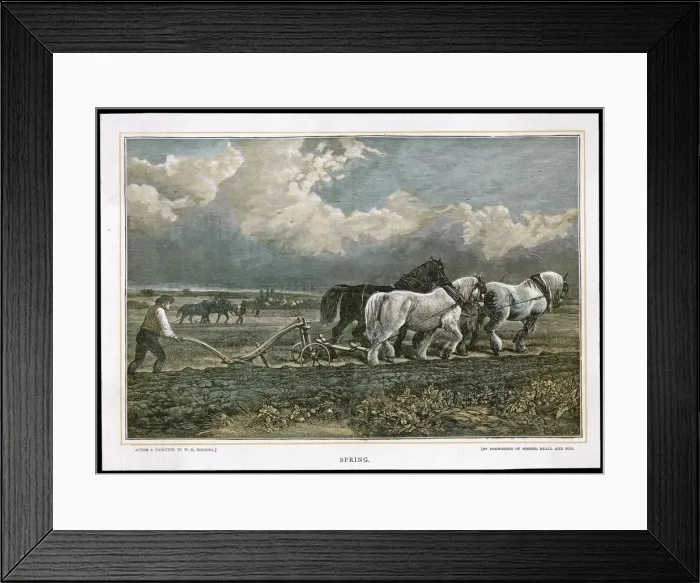 Framed Print : HOPKINS  /  SEASONS  /  SPRING