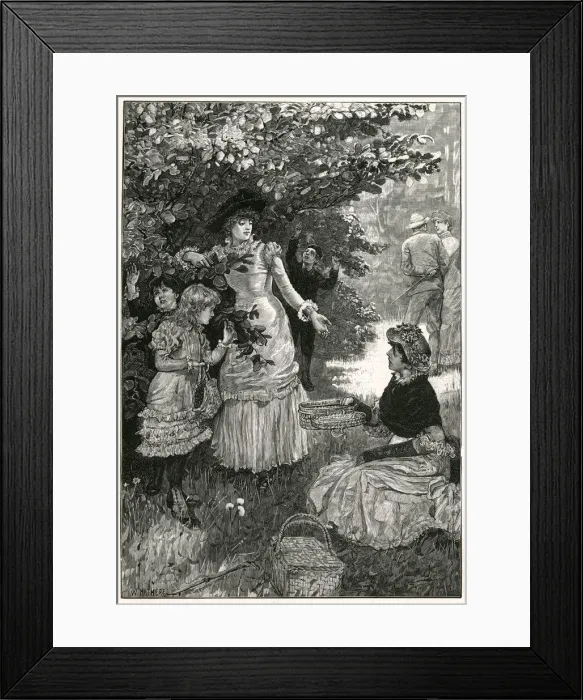 Framed Print : GATHERING NUTS (IN MAY?) Framed Print : GATHERING NUTS (IN MAY?)